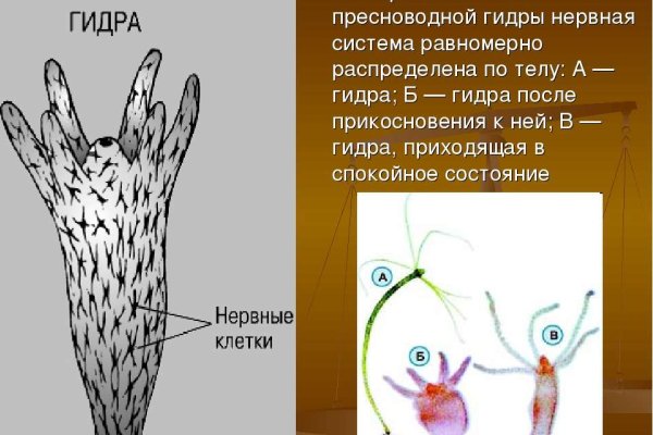 Мега ссылка на сайт маркет